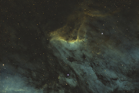 The Pelican Nebula